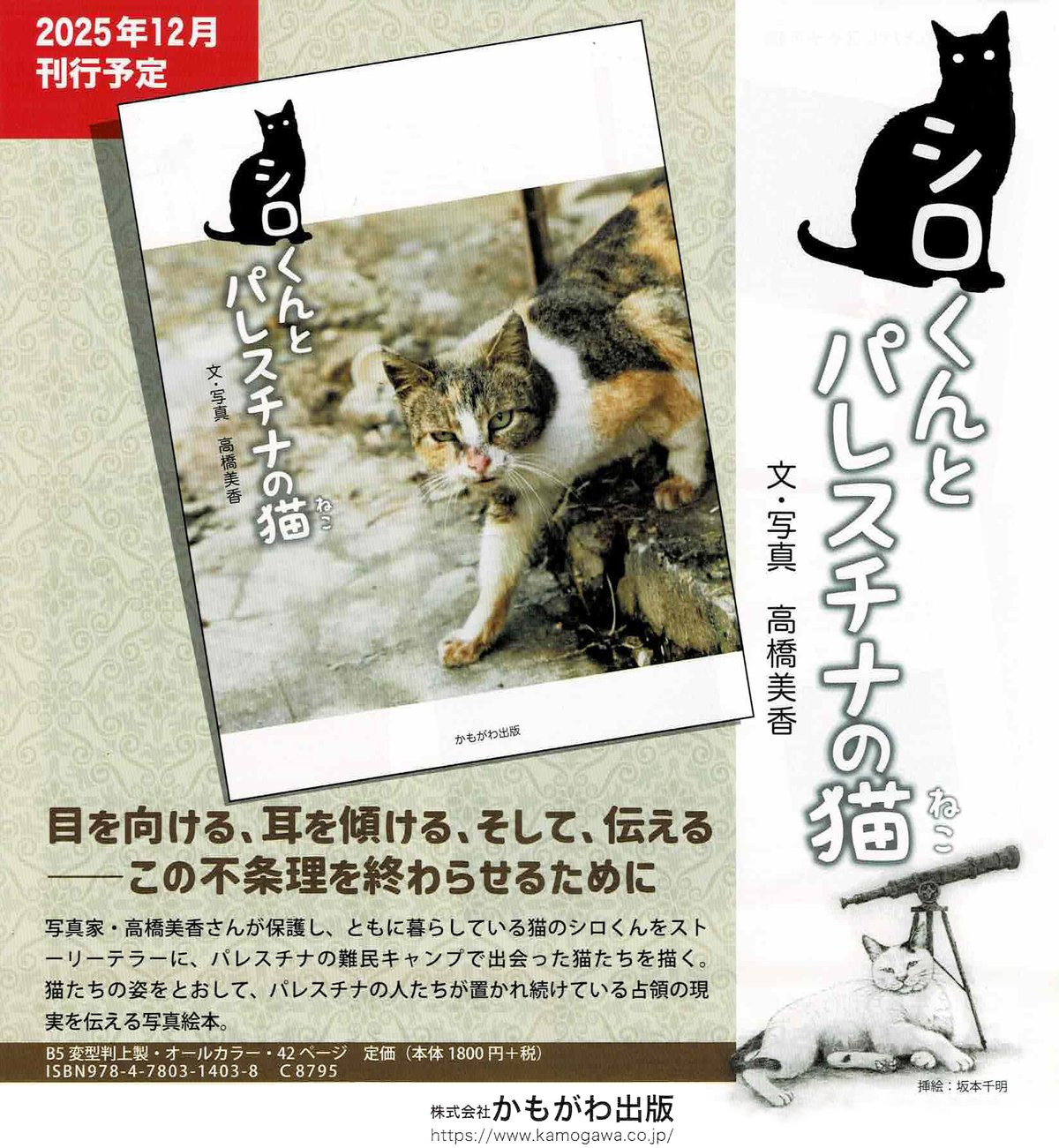 シロくんとパレスチナの猫 サイン入り・ポストカードつき | book cafe