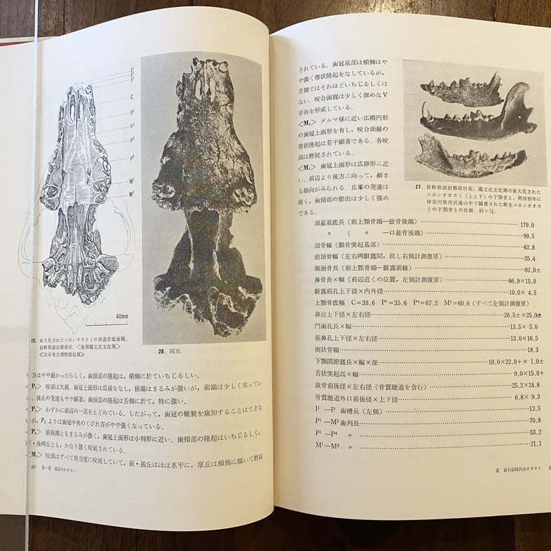 日本産狼の研究 日本産狼の研究 | 直良 信夫 |本 | 通販 | Amazon