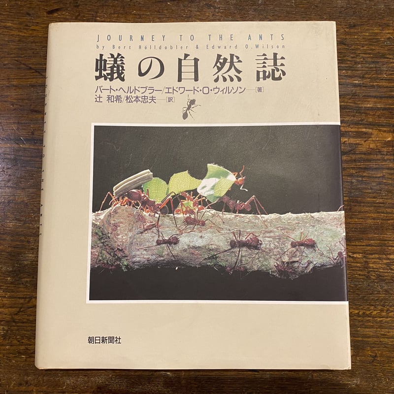 蟻の自然誌　値下げ 蟻の自然誌値下げ
