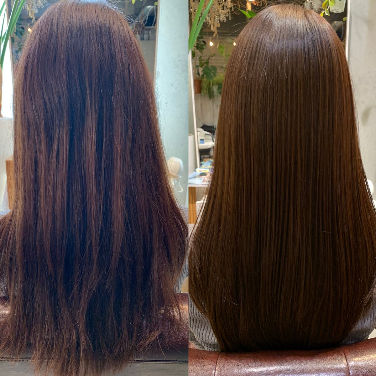 水素トリートメント【ふんわりパウダー】 300g | mkスムース