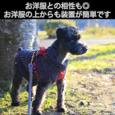 日本製ハーネス【XSサイズ】カラー【赤】