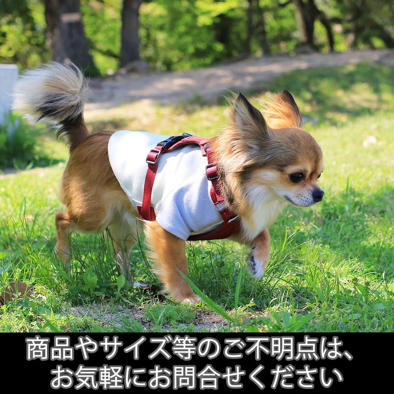 日本製ハーネス【XXSサイズ】カラー【赤】 | DogFulness 日本製ハーネス【XXSサイズ】カラー【赤】 | DogFulness