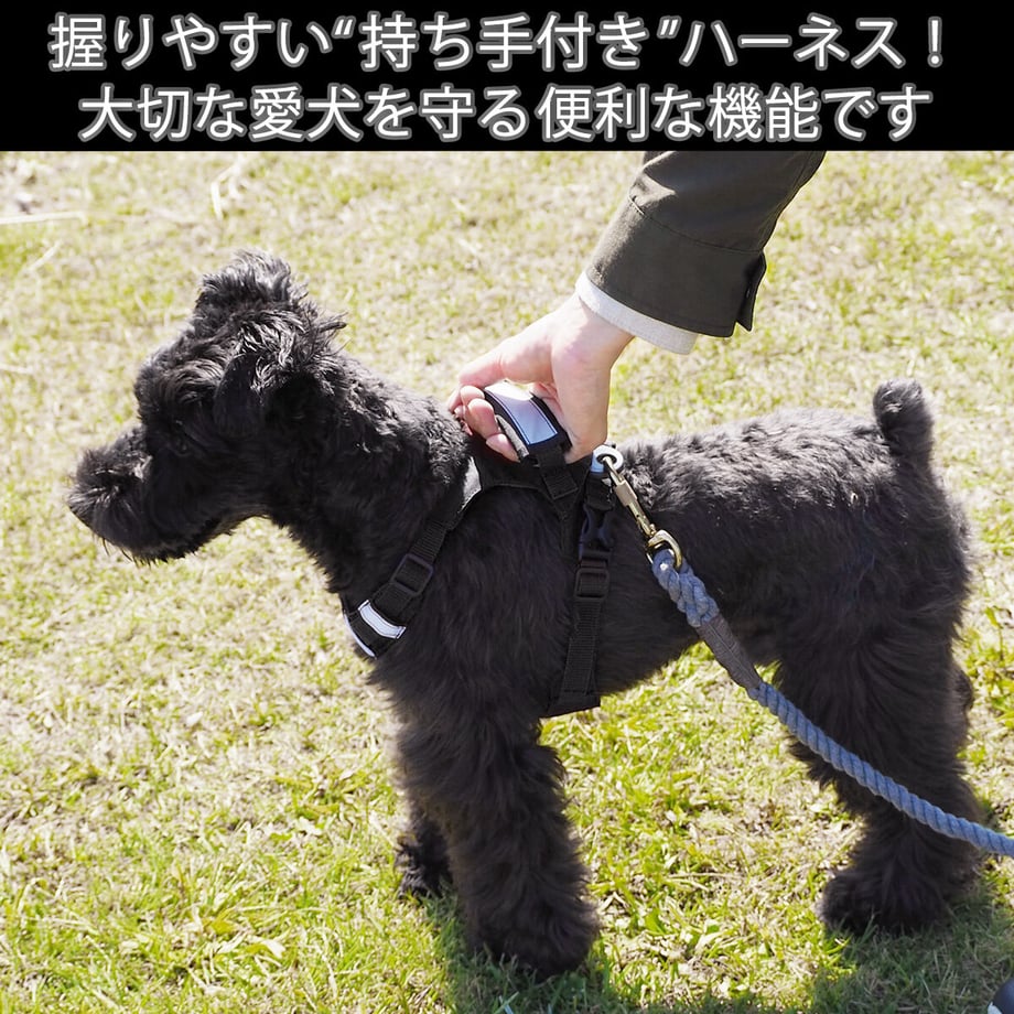 63d88453f54f676cd2446793