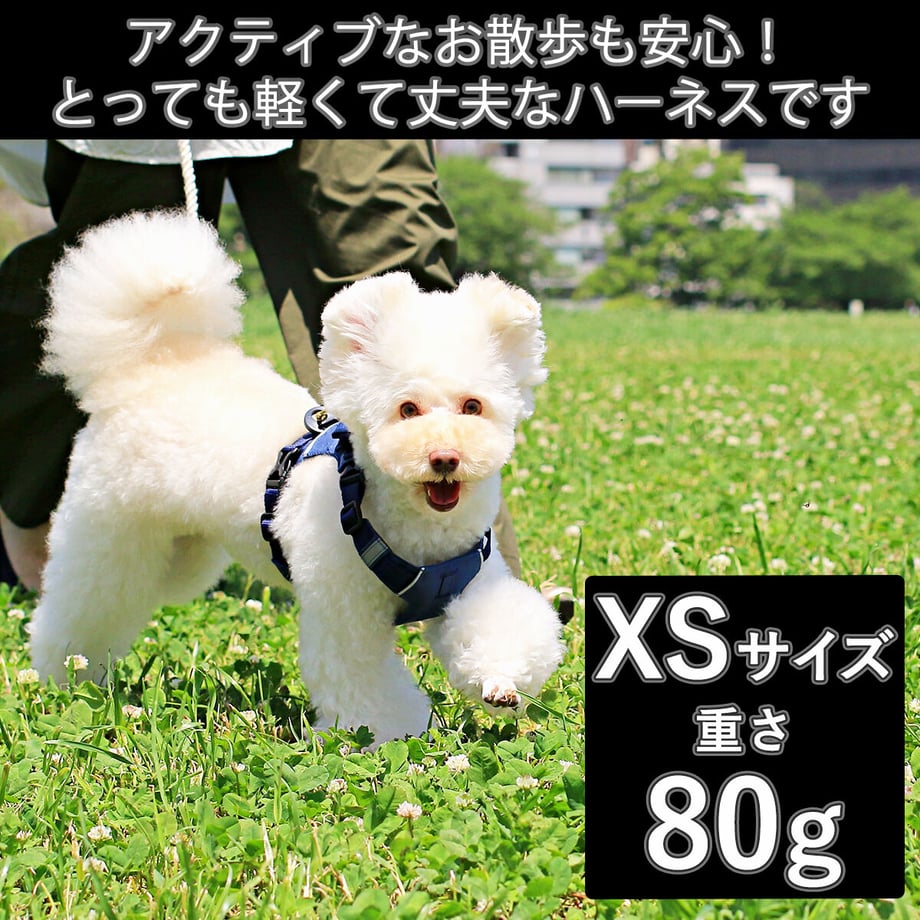5fe43b86df515977a718dfed