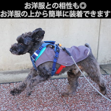 日本製ハーネス【XSサイズ】カラー【紺】