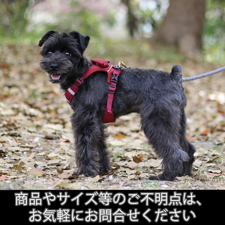 日本製ハーネス【XSサイズ】カラー【赤】