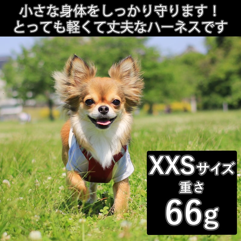 日本製ハーネス【XXSサイズ】カラー【赤】 | DogFulness
