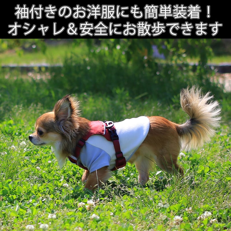 日本製ハーネス【XXSサイズ】カラー【赤】 | DogFulness