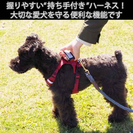 日本製ハーネス【XSサイズ】カラー【紺】