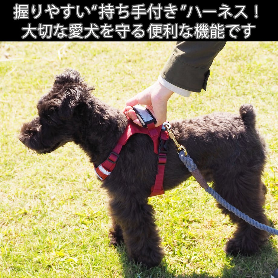 5fe43b86df515977a718dfed