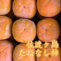 佐渡ヶ島の柿（ 2025年11月4日予約開始）