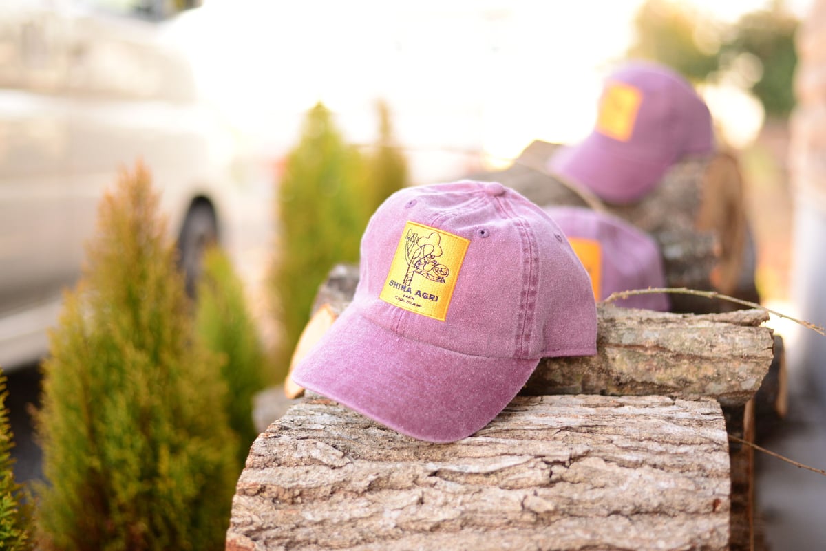 草木染めギャッベ＊グリーン系（85×58cm）遊牧民の手仕事 草木染めギャッベ＊グリーン系（85×58cm）遊牧民の手仕事 草木染め