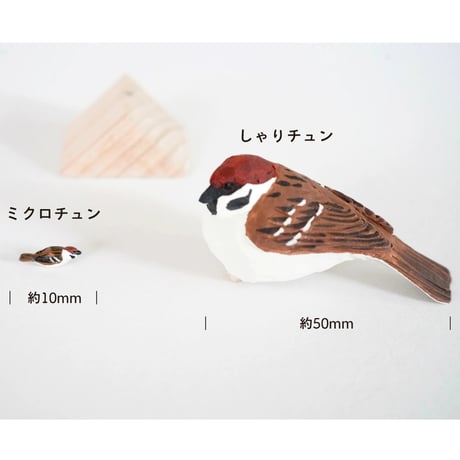 しゃりチュン〈D〉