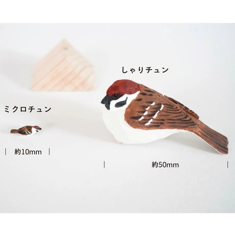 ミクロチュン〈A〉