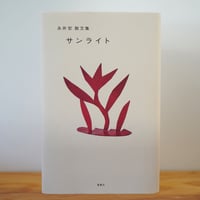 サンライト　永井宏散文集