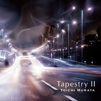 Tapestry II / 村田陽一