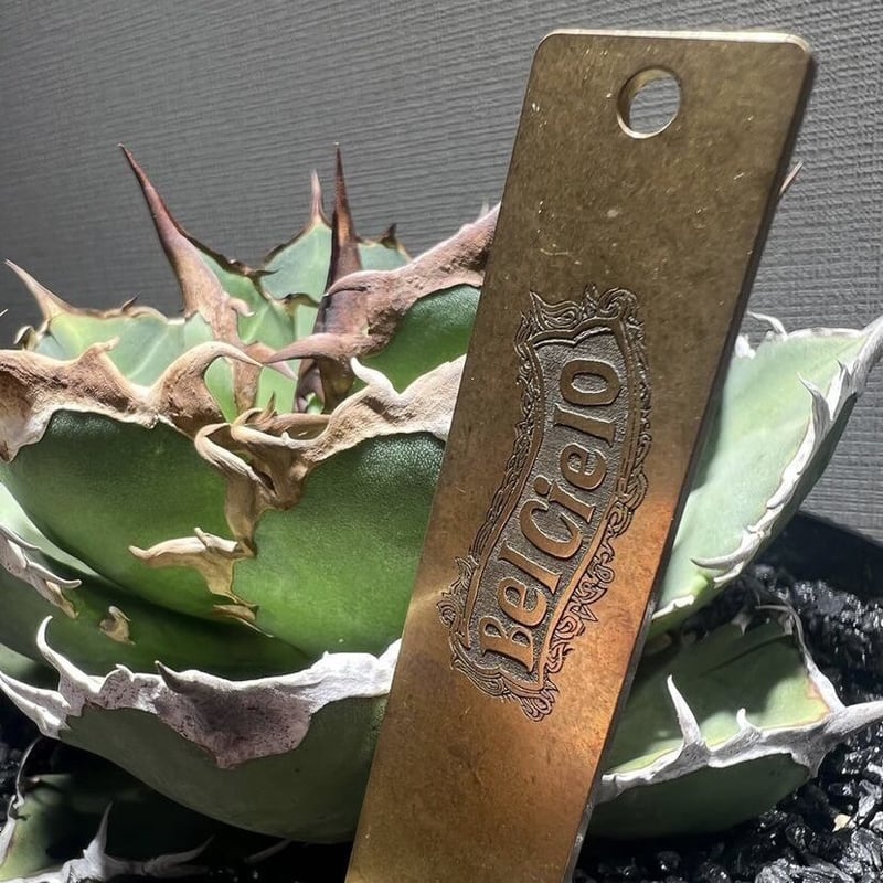 D300-28 極上彫刻品 2匹 フローライト インコ アメジスト結晶 置物