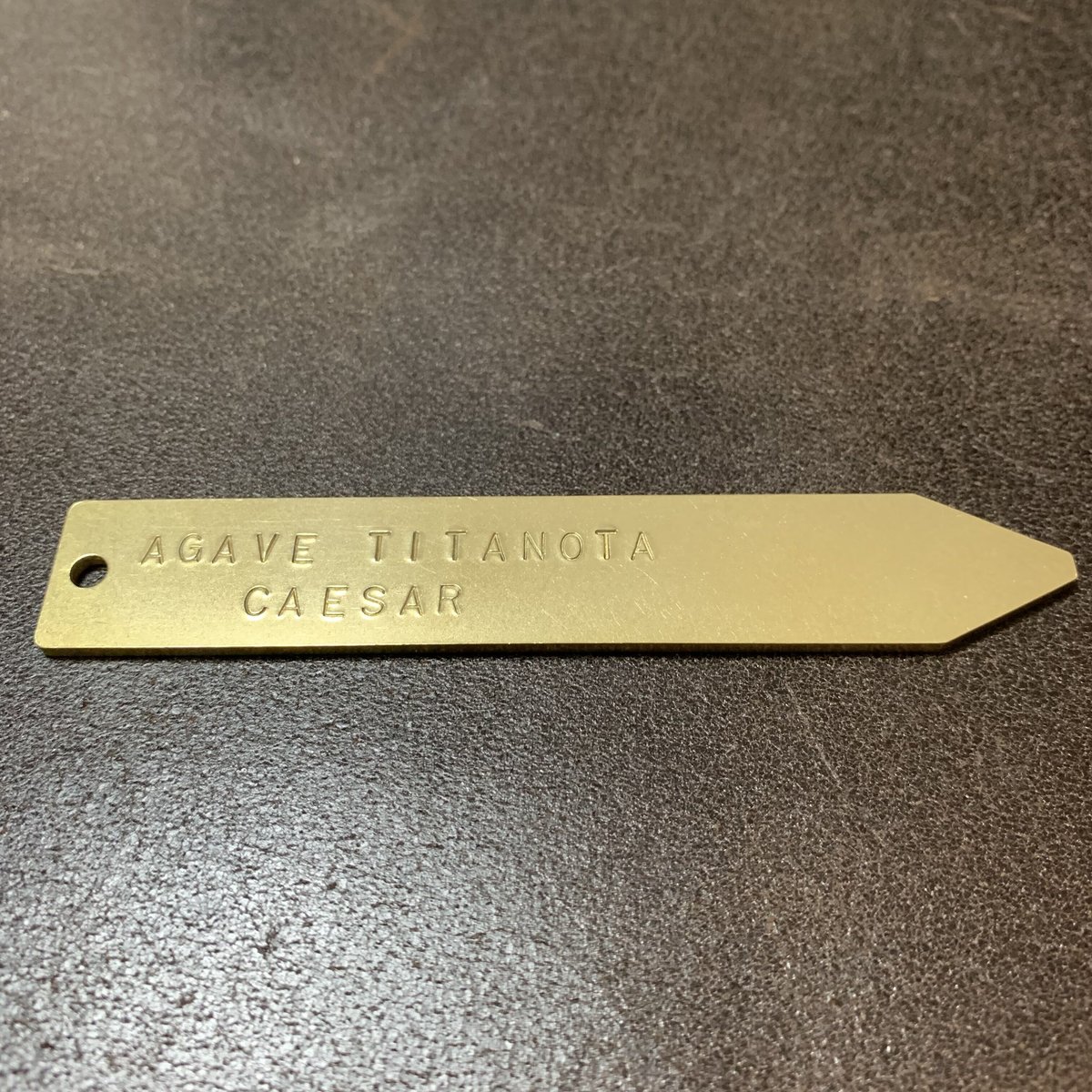 Bel Cielo 真鍮製 刻印代込み プランツタグ BGT03 | RYANS