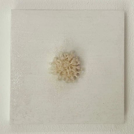 寺村サチコ「cell」