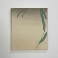 杉本岳久　GAKU SUGIMOTO「イワサキクサゼミ」