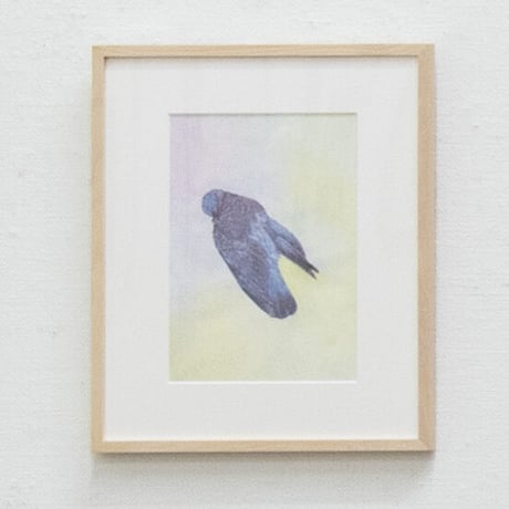 久保田沙耶　Saya Kubota「drawingー鳥の跡」（額装あり）
