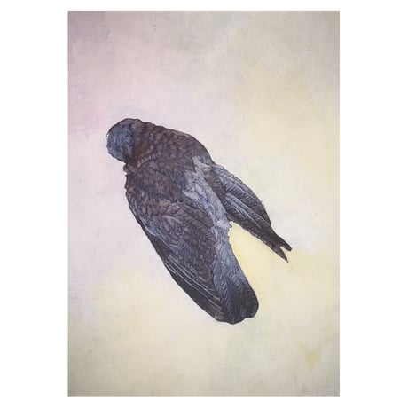 久保田沙耶　Saya Kubota「drawingー鳥の跡」（額装あり）