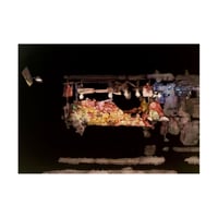 久保田沙耶　Saya Kubota「drawingー発光果実」（額装あり）