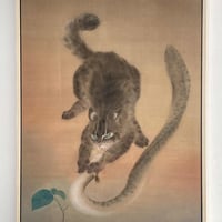 杉本岳久　GAKU SUGIMOTO「山猫と大鰻」
