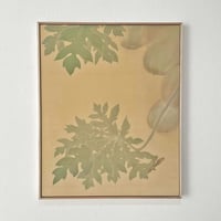 杉本岳久　GAKU SUGIMOTO「パパイヤとチョウトンボ」