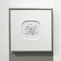 Hikari Chiba-3「trace line-7」