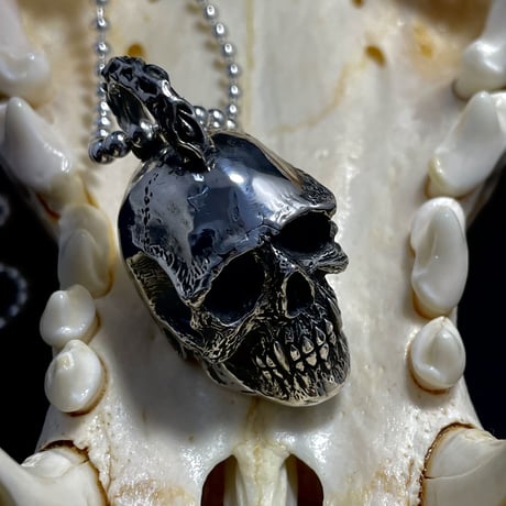 Vampire  Scull