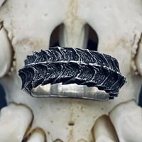 Devil’s  horn  ring