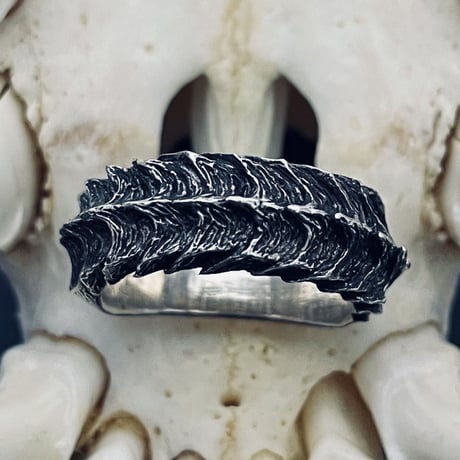Devil’s  horn  ring