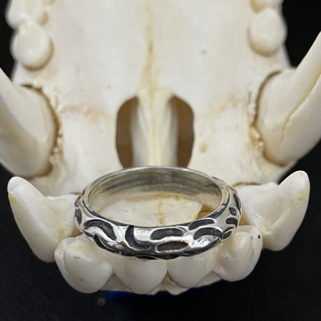 Maggot Ring