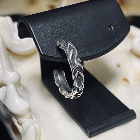 undulation Earrings