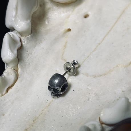 skull pierce