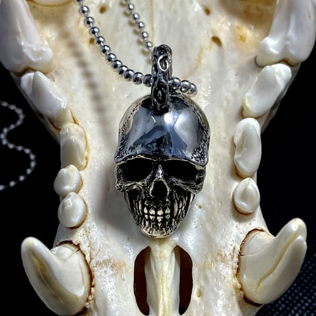 Vampire  Scull