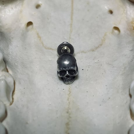 skull pierce