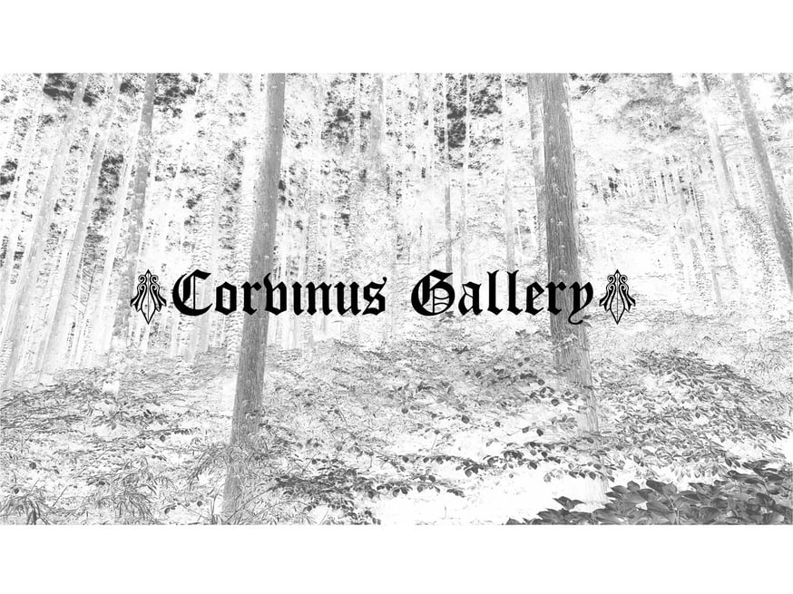 オーダー受付の再開、並びにブランド名変更について | CORVINUS Gallery