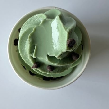 【限定チョコミント】アイスクリーム６個セット〈送料無料〉