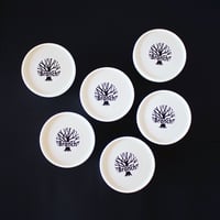 アソート６個セット〈送料無料〉