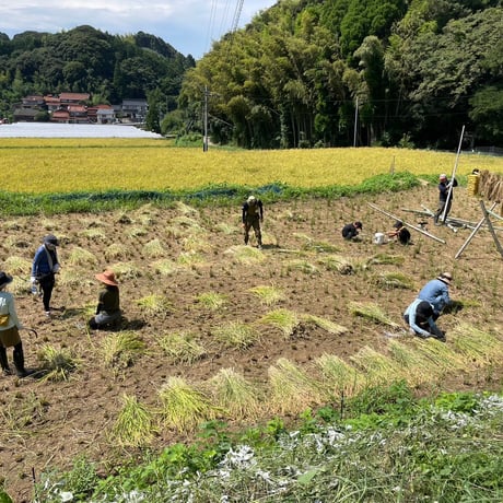 【売り切れ】無農薬・合鴨農法 お米｜アイガモクラブ