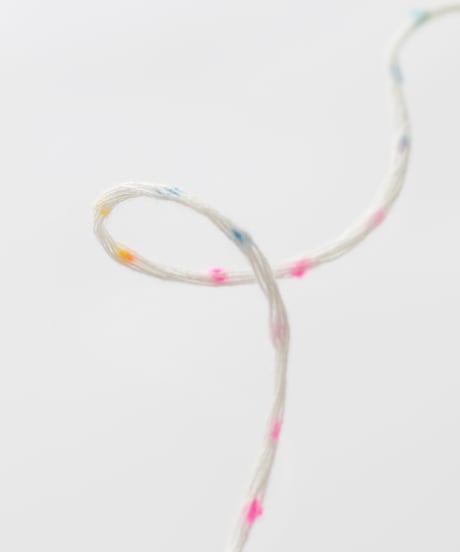 ussuri bay lily  #1 white base × mix