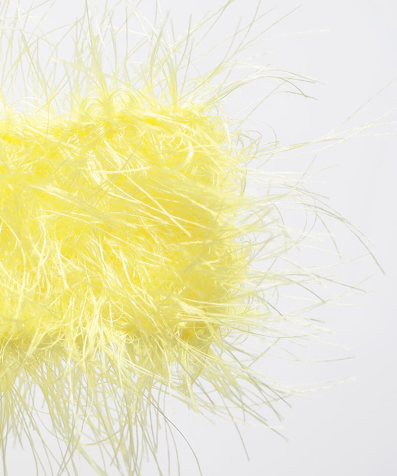 actinia の説明 | itoito