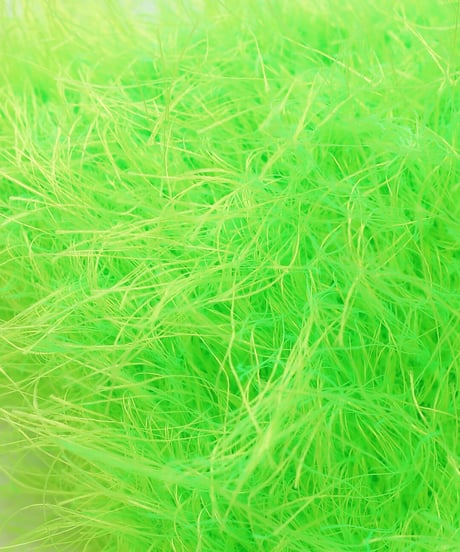 actinia balaclavaのkit