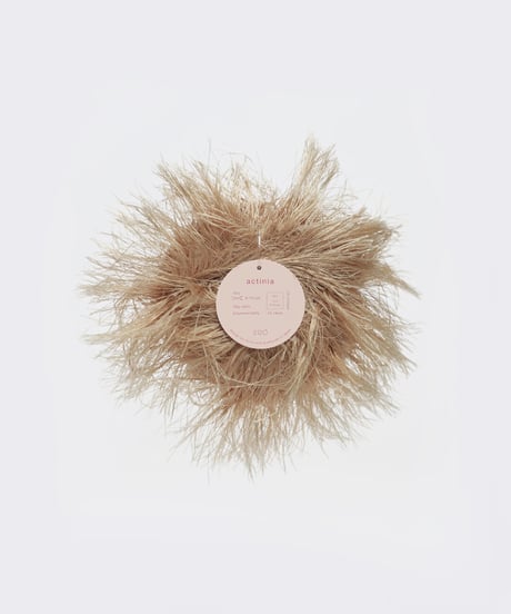 actinia  #12 champagne gold