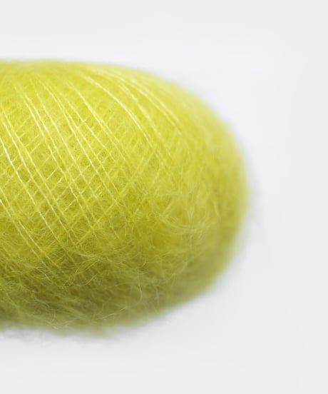rhein　#24 yellow