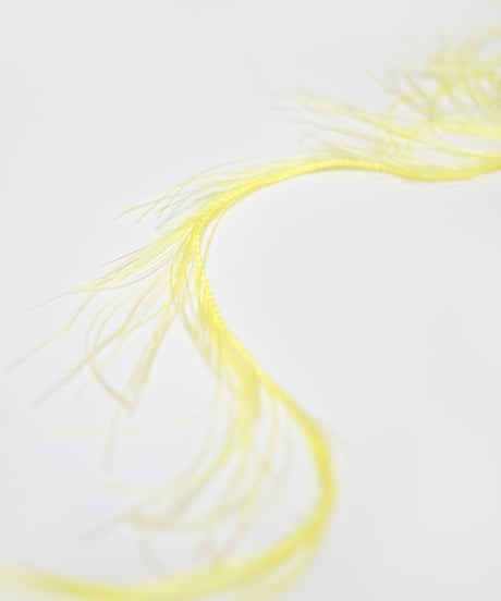 actinia 　#1  light yellow