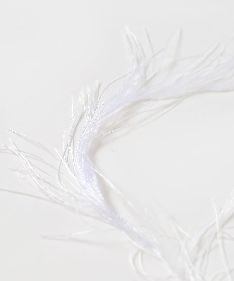 actinia の説明 | itoito