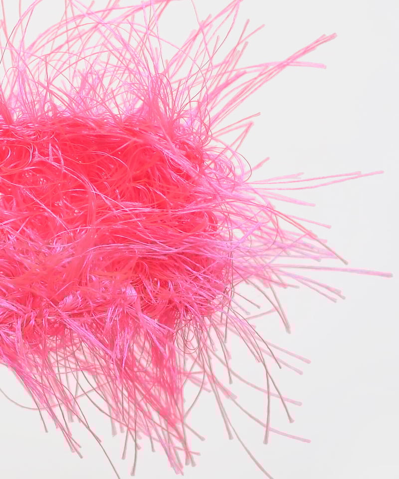 actinia の説明 | itoito